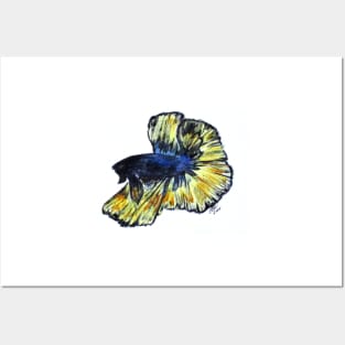 Art Doodle No. 34 Betta Fish Posters and Art